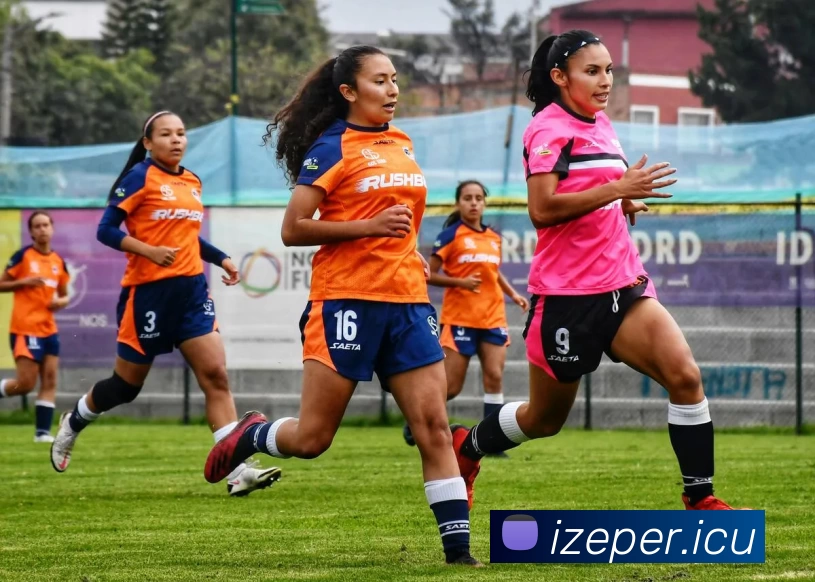 App Interface Preview